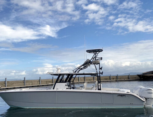 2025年 New INVINCIBLE 40 CATAMARAN